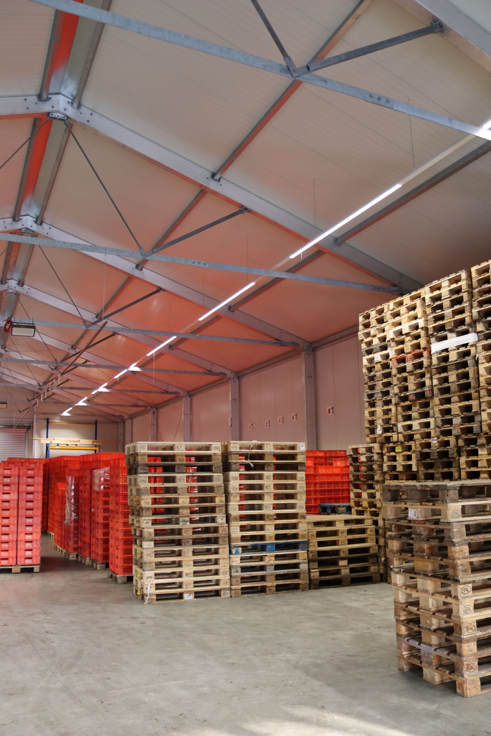 Industrial structure internal Cold Storage Warehouse
